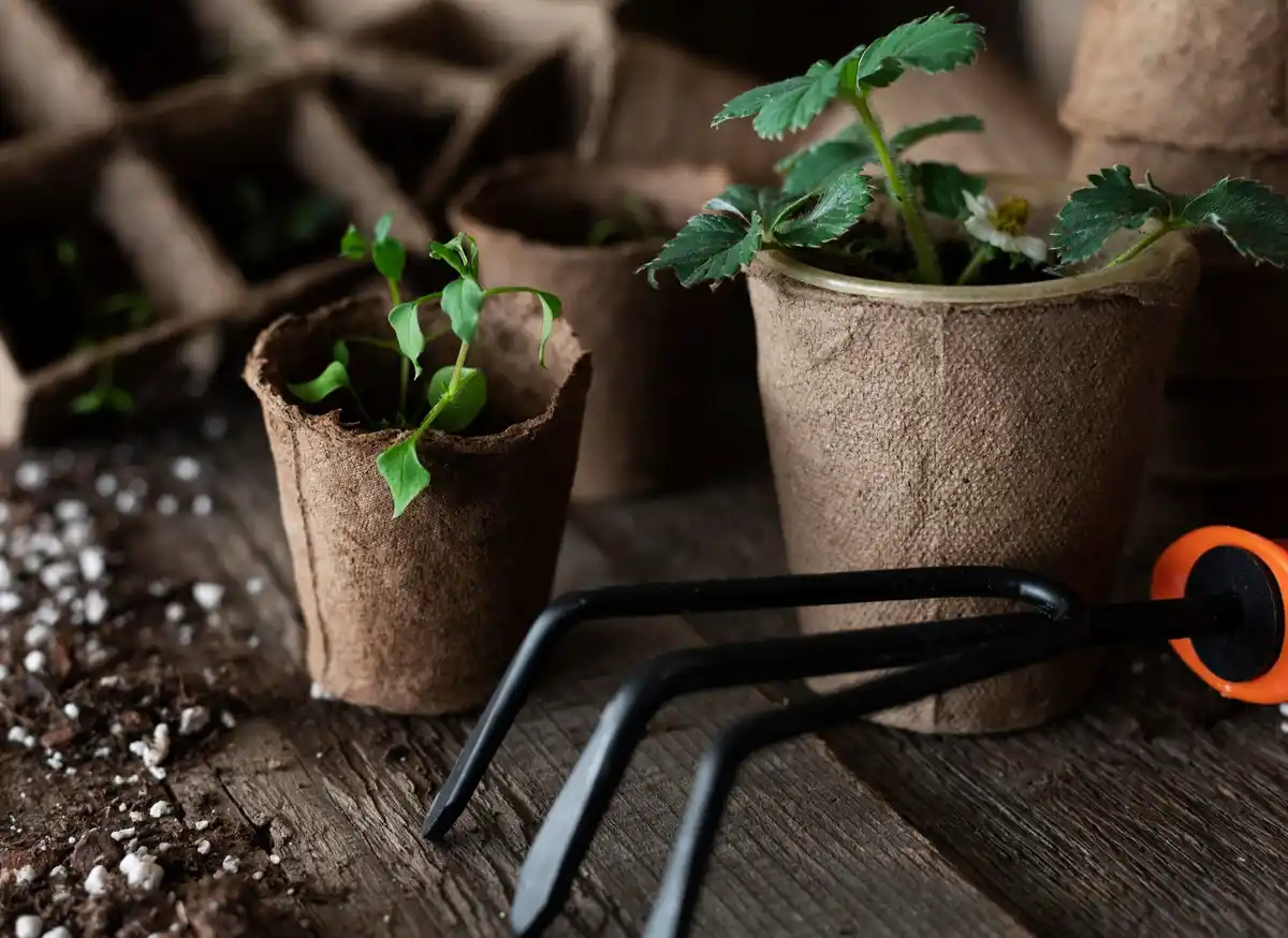 Czech village composting backyard eco garden bucket