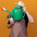creative garden rake uses Czech backyard