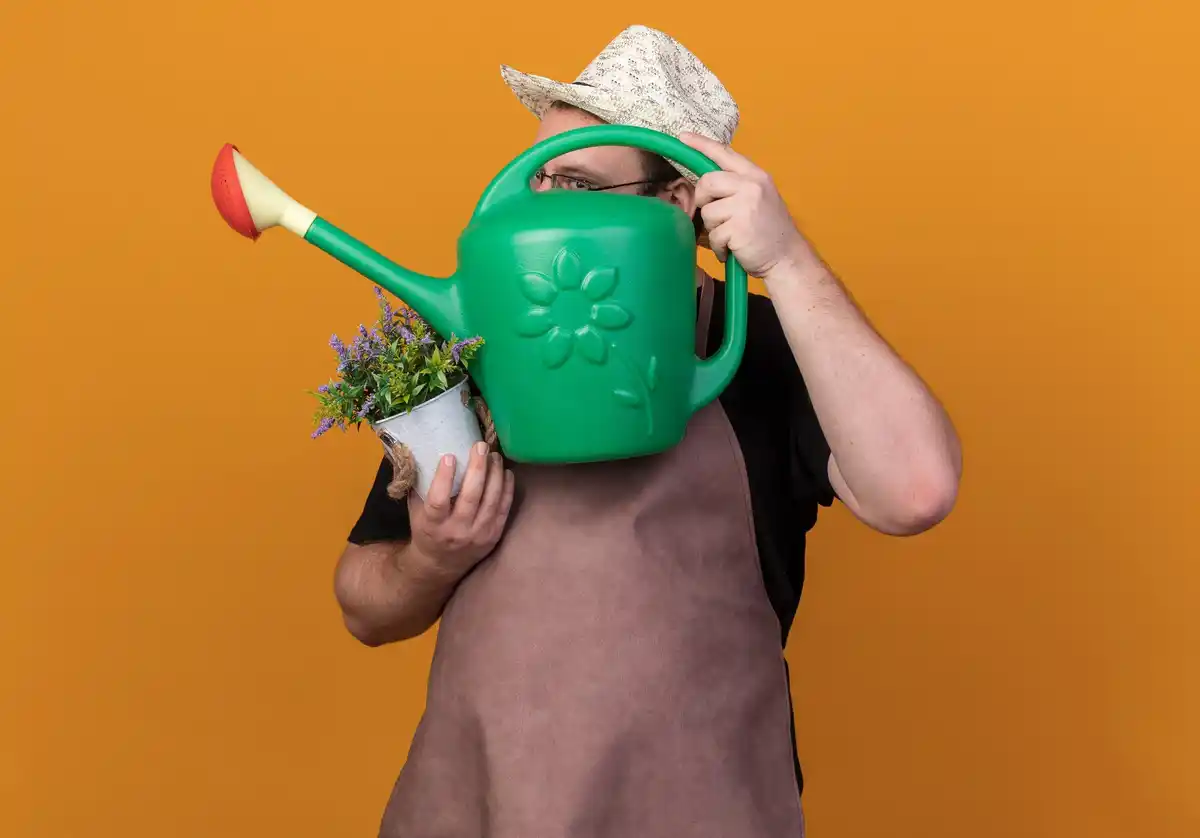 creative garden rake uses Czech backyard