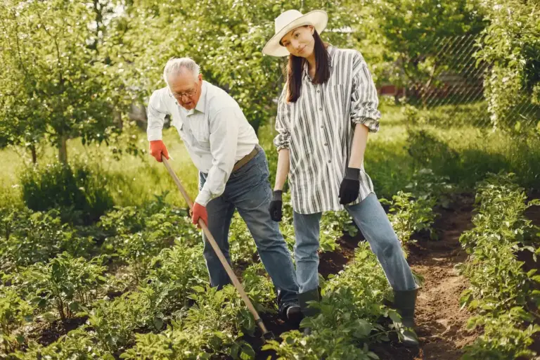 senior gardening raised beds Czech village