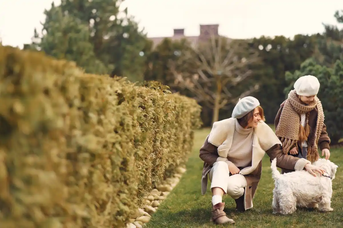 elderly people gardening without bending high beds Czech village