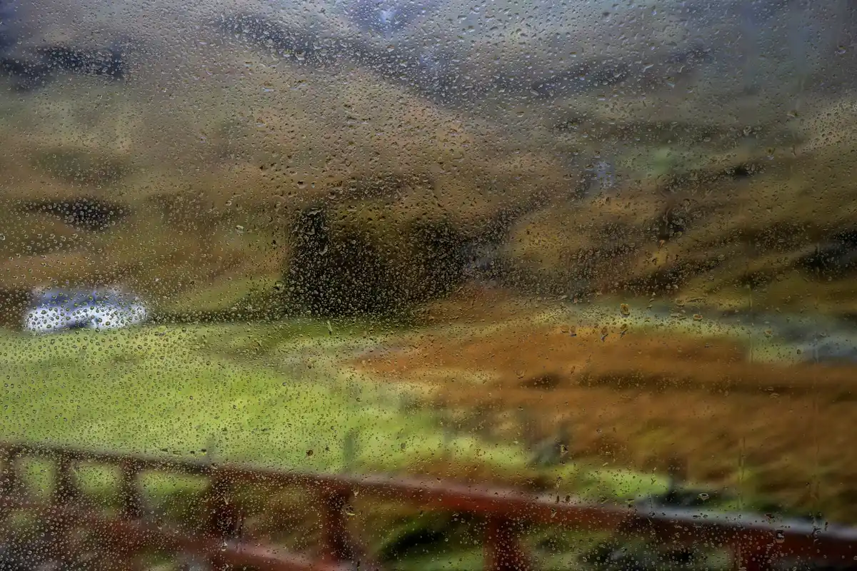 condensation on greenhouse window czech garden