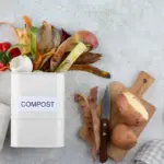 kitchen food scraps compost organic gardening Czech