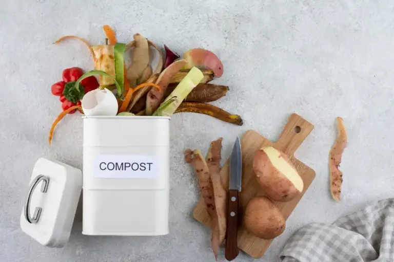 kitchen food scraps compost organic gardening Czech