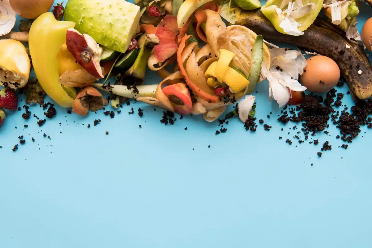 kitchen compost bin full of vegetable scraps Czech