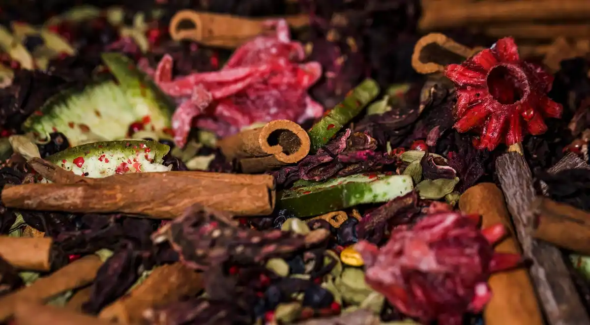 vermicomposting worms kitchen Czech