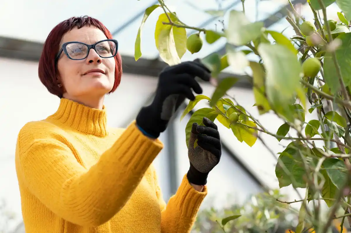 garden disease early signs spring leaves
