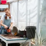 vintage greenhouse preparation spring
