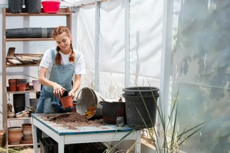 vintage greenhouse preparation spring