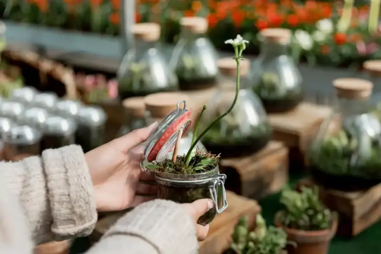 winter indoor plant greenhouse hack