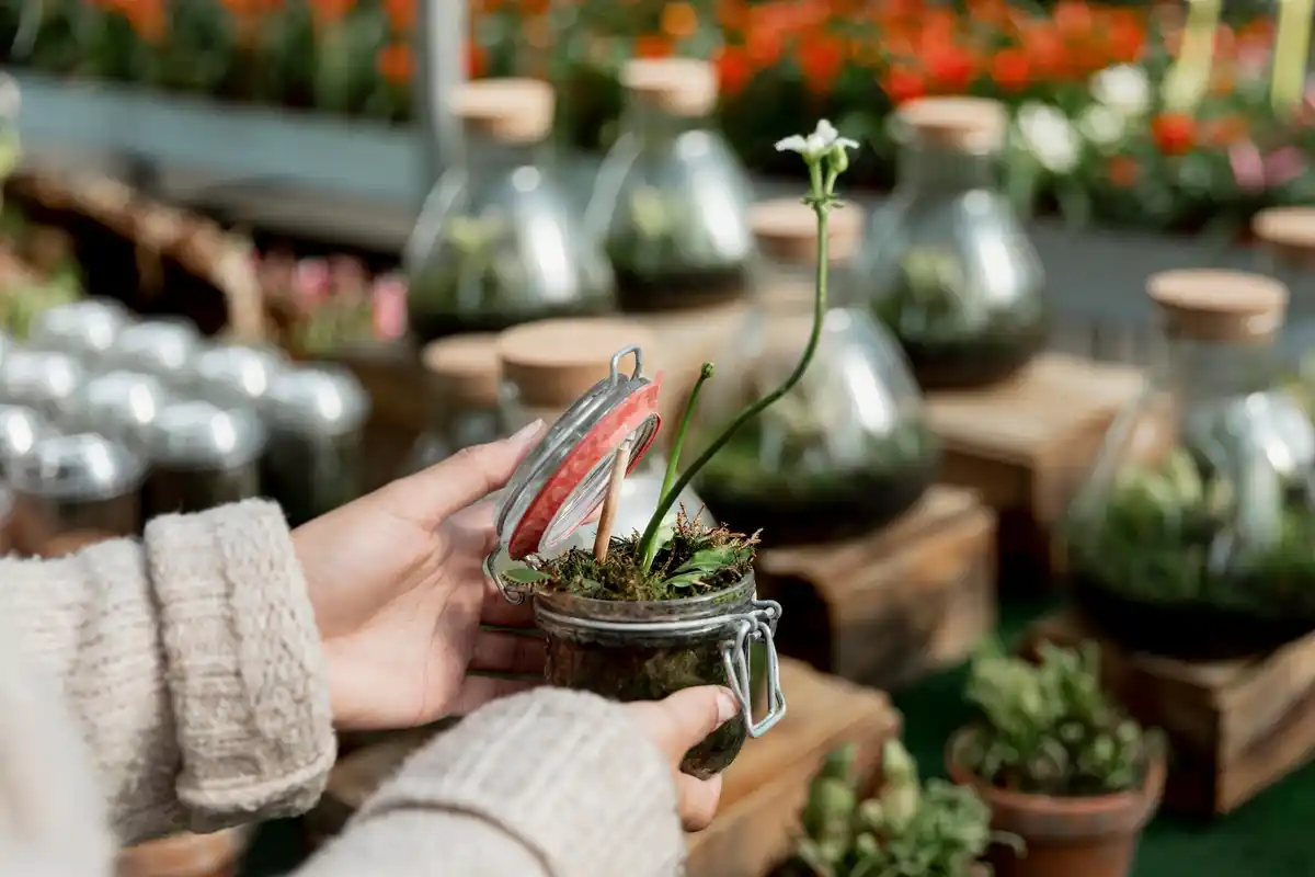 winter indoor plant greenhouse hack