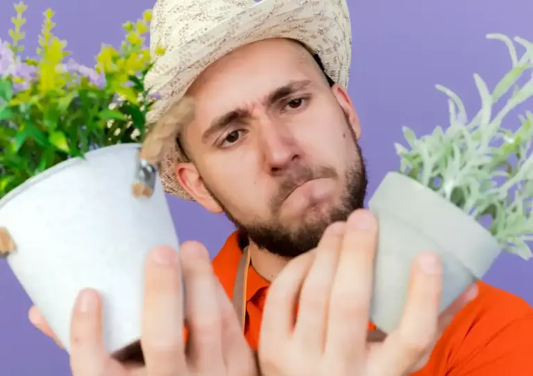garden fertilizer watering mistake czech close-up