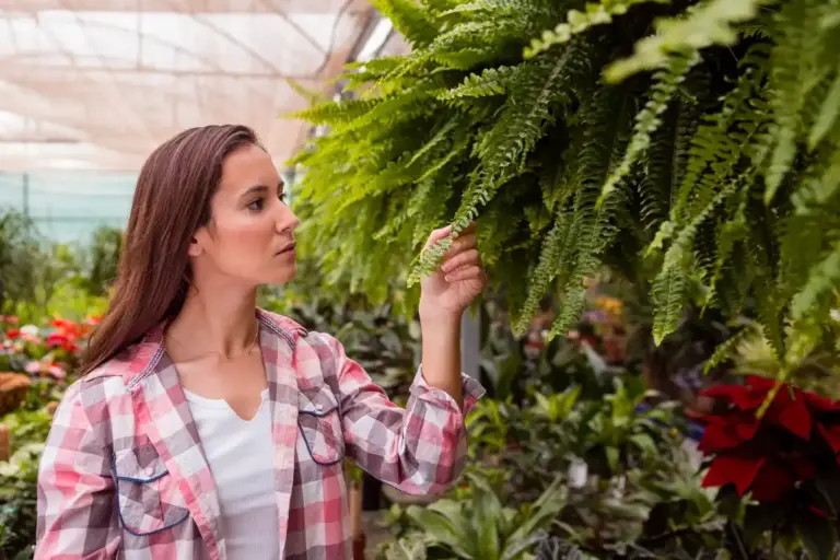 garden greenhouse ventilation mistake Czech spring
