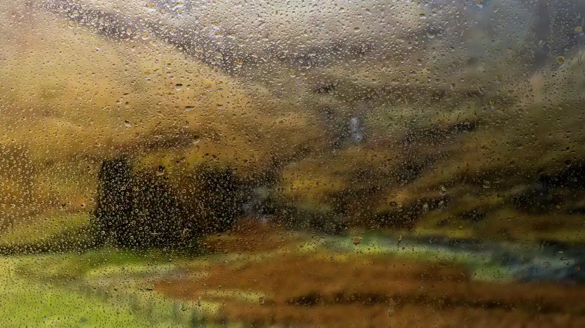 wet window condensation inside Czech greenhouse spring