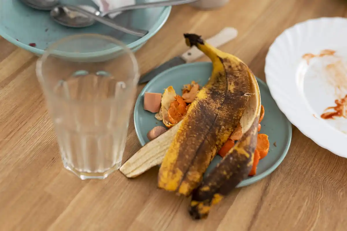 composting banana peels home Czech garden