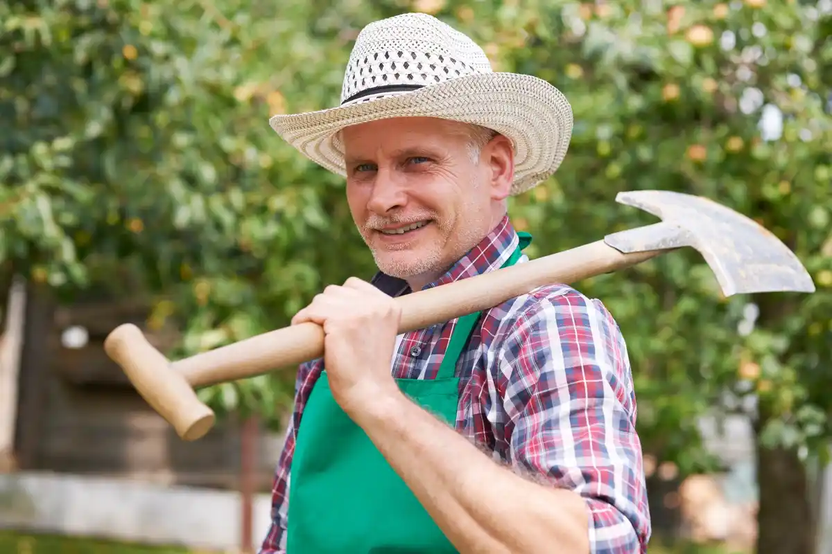 traditional Czech orchard harvest seniors