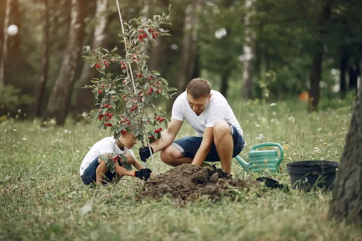 family young people removing old orchard trees