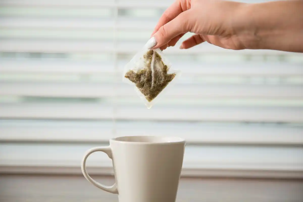 used tea bags on window sill with houseplants