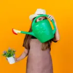 garden fertilizer summer danger