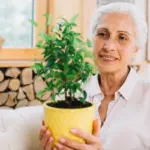 houseplants for seniors in Czech homes