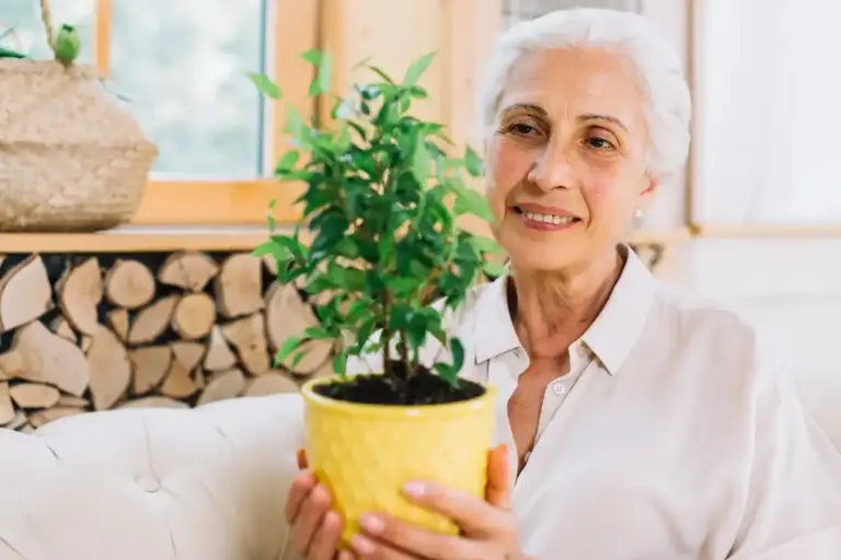 houseplants for seniors in Czech homes