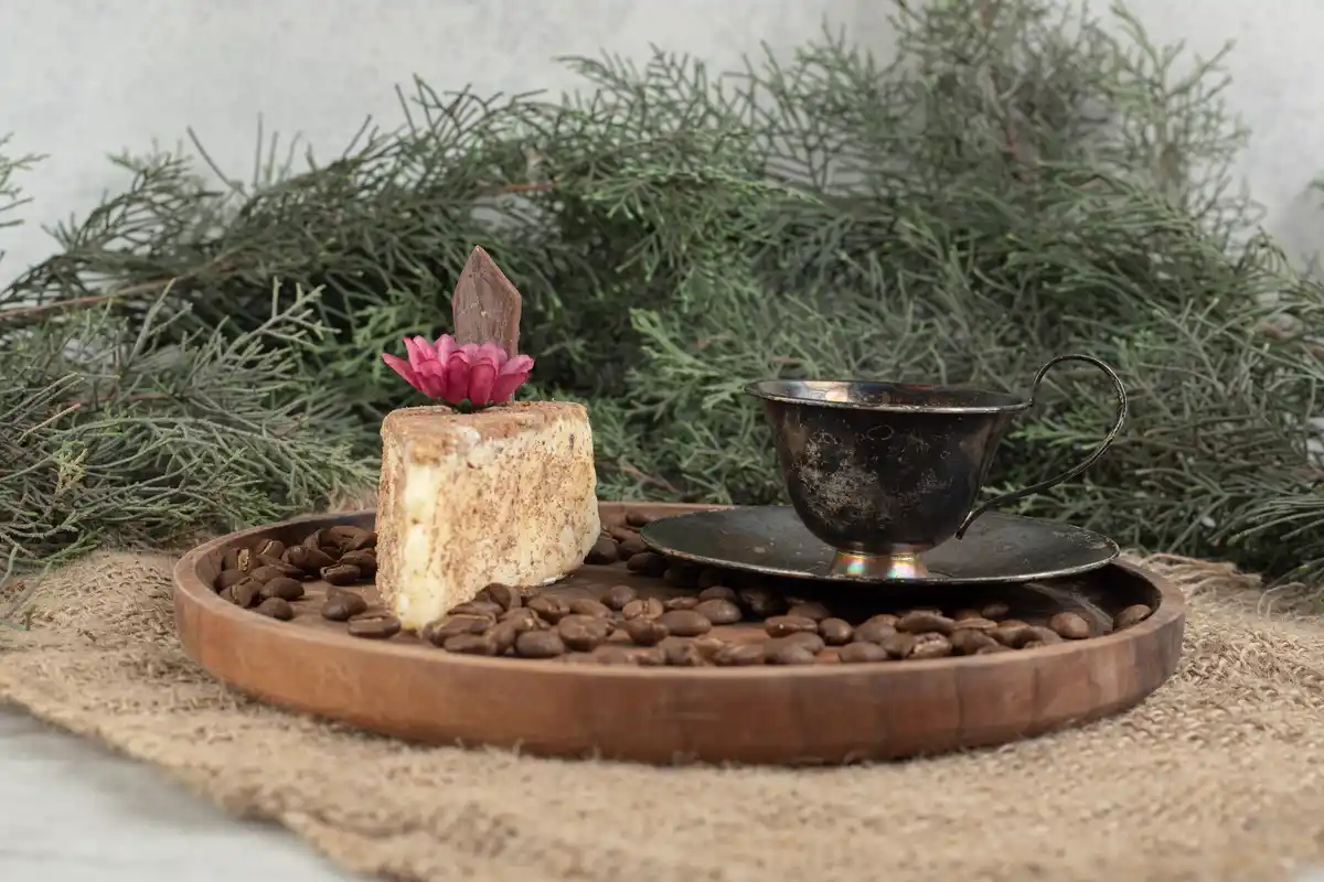 used coffee grounds for plants home decor