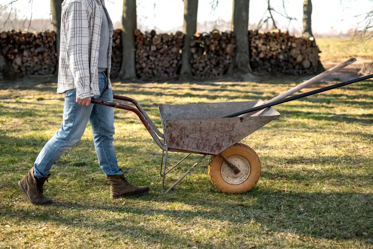 old lawn mower on grass, spring garden maintenance, Czech backyard