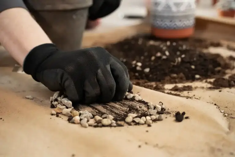 coffee grounds protecting garden plants