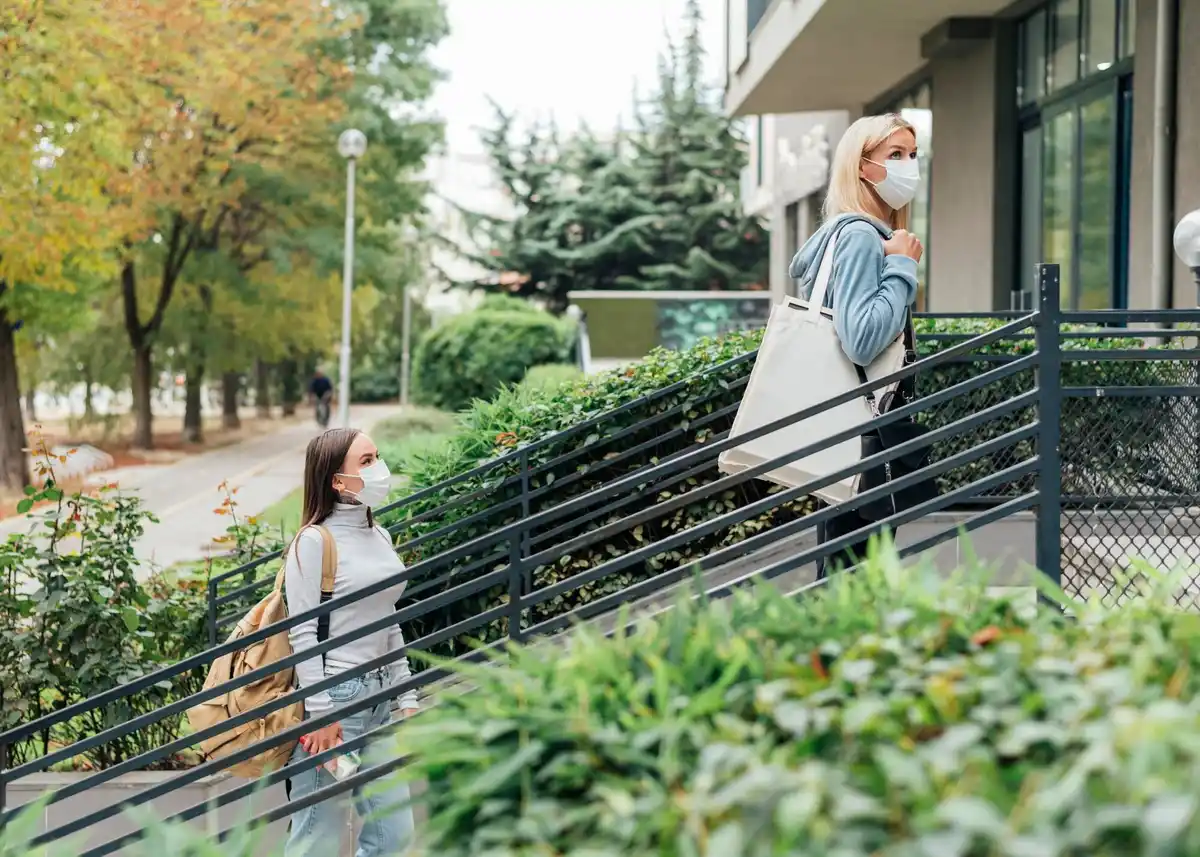 vertical garden small apartment Czech