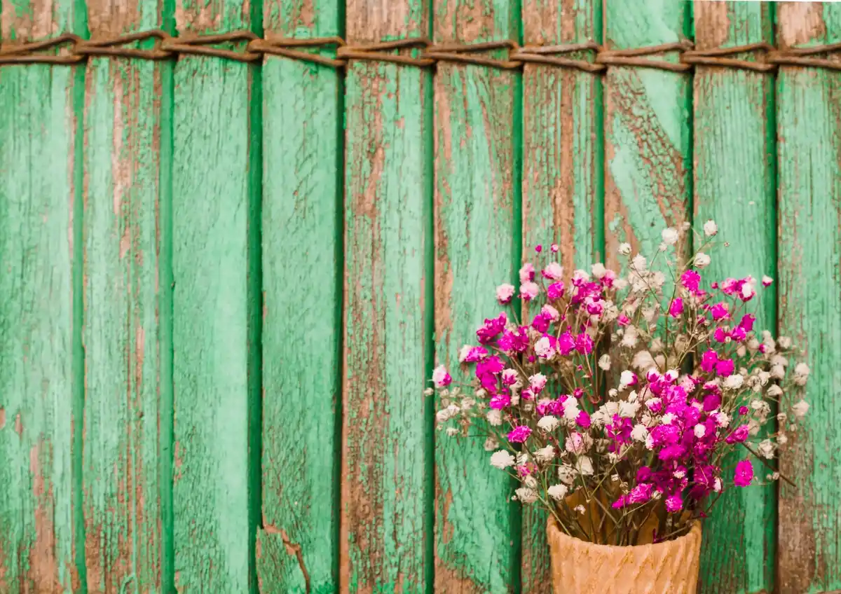 Retro house window with pelargonium flowers in Czech countryside