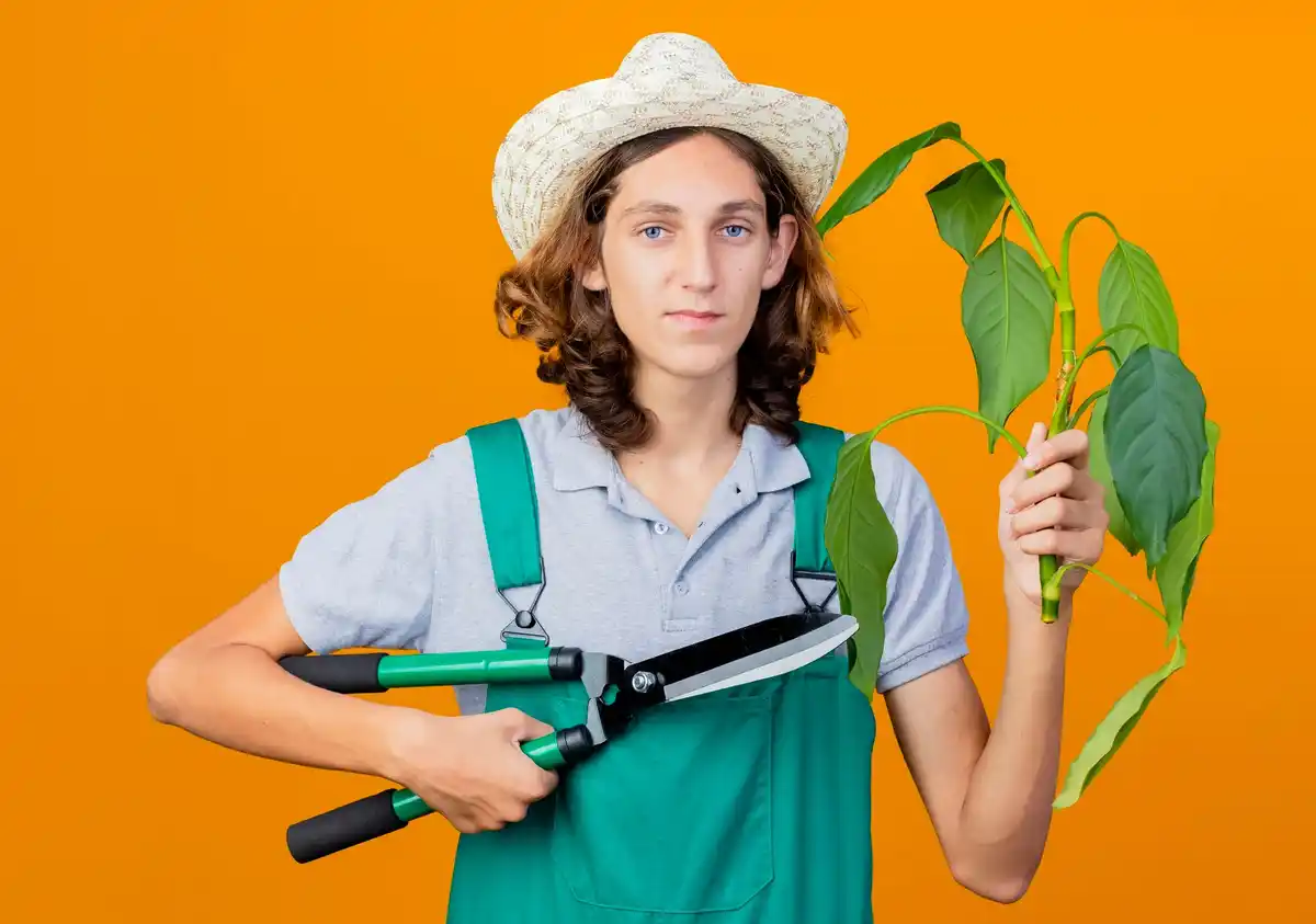 young gardener grafting fruit tree innovation
