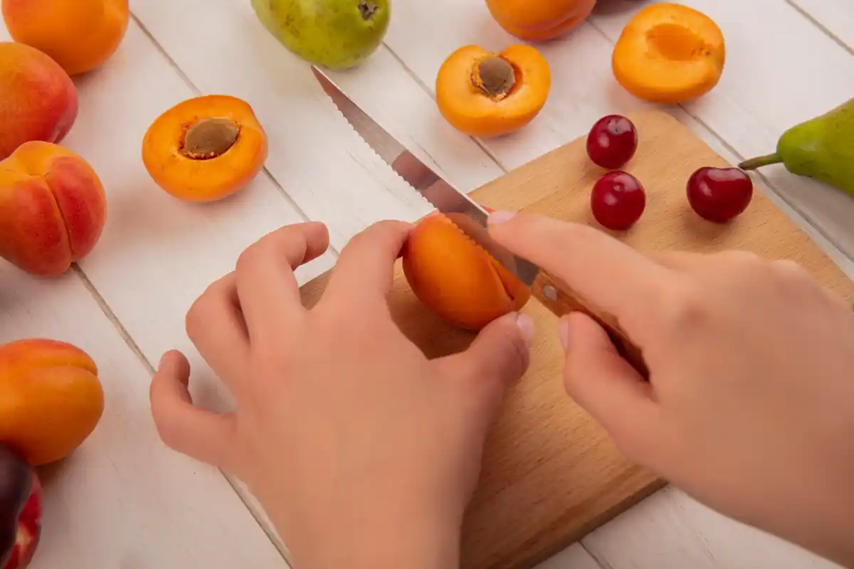 close up grafting fruit tree hands tutorial spring garden method