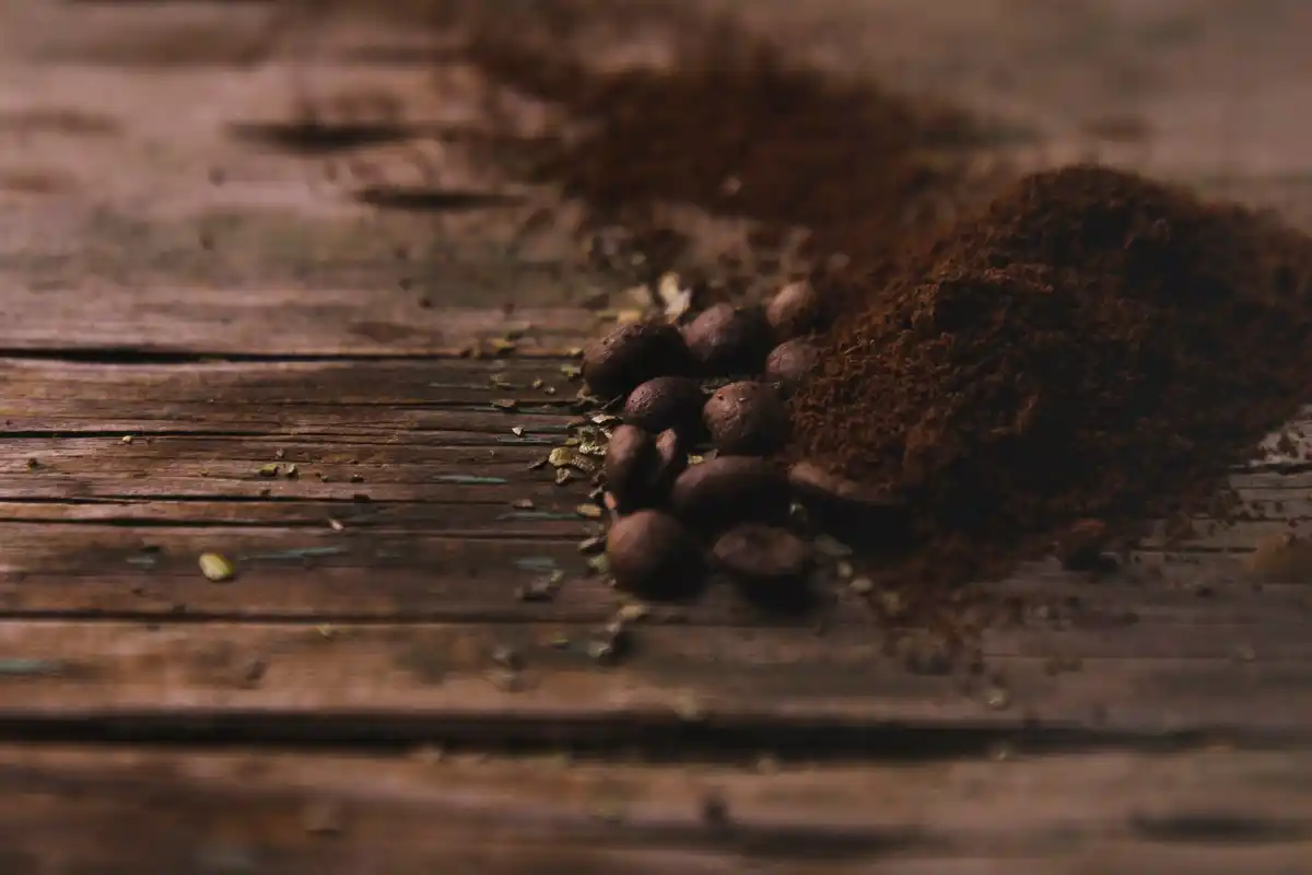 coffee grounds under fruit tree