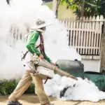 garlic spray home garden pest control