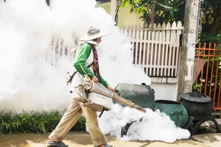 garlic spray home garden pest control