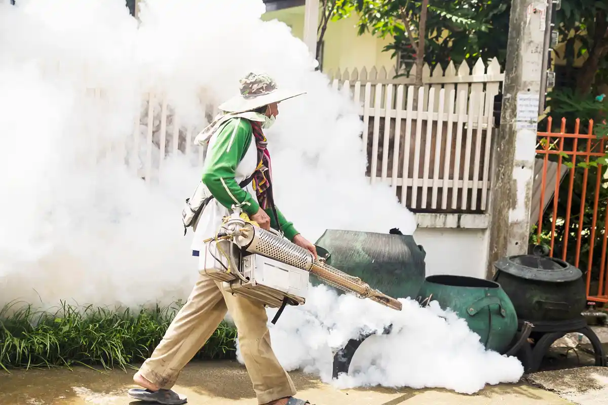 garlic spray home garden pest control