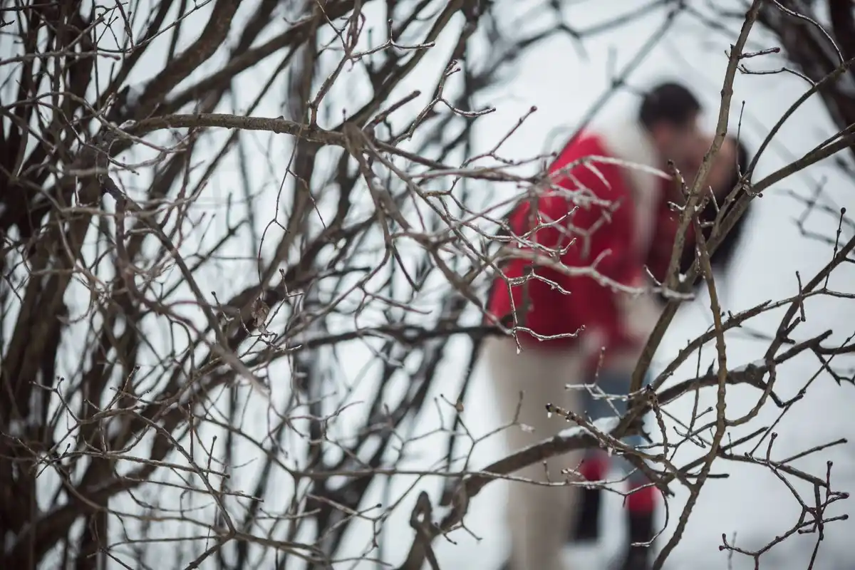 cherry tree pruning in spring mistake Czech garden