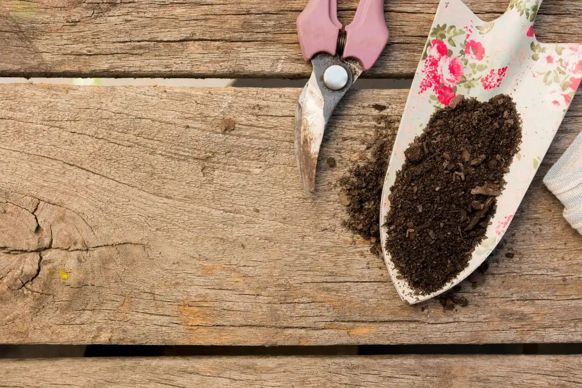 coffee grounds garden natural fertilizer vegetables czech