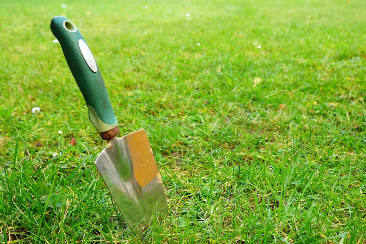 Czech allotment garden new hand tool versus old hoe
