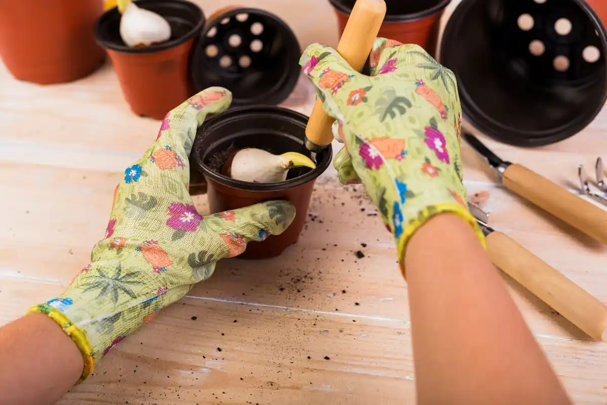 houseplant care hacks with recycled socks