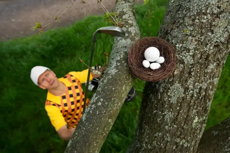 eggshells gardening tips Czech backyard