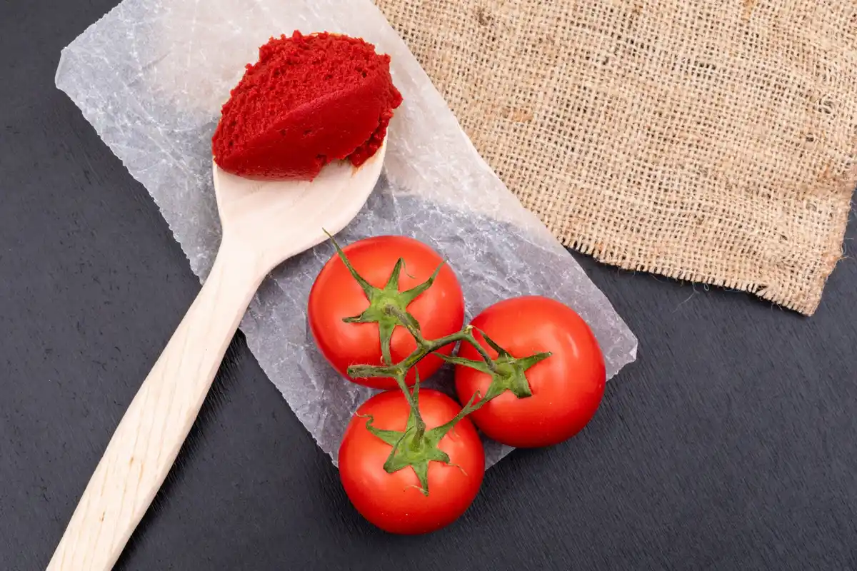 egg shells natural fertilizer Czech tomatoes