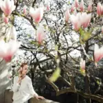 feng shui fruit tree placement garden czech orchard