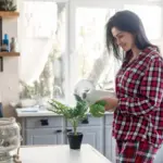 egg shell plant fertilizer houseplants czech kitchen balcony