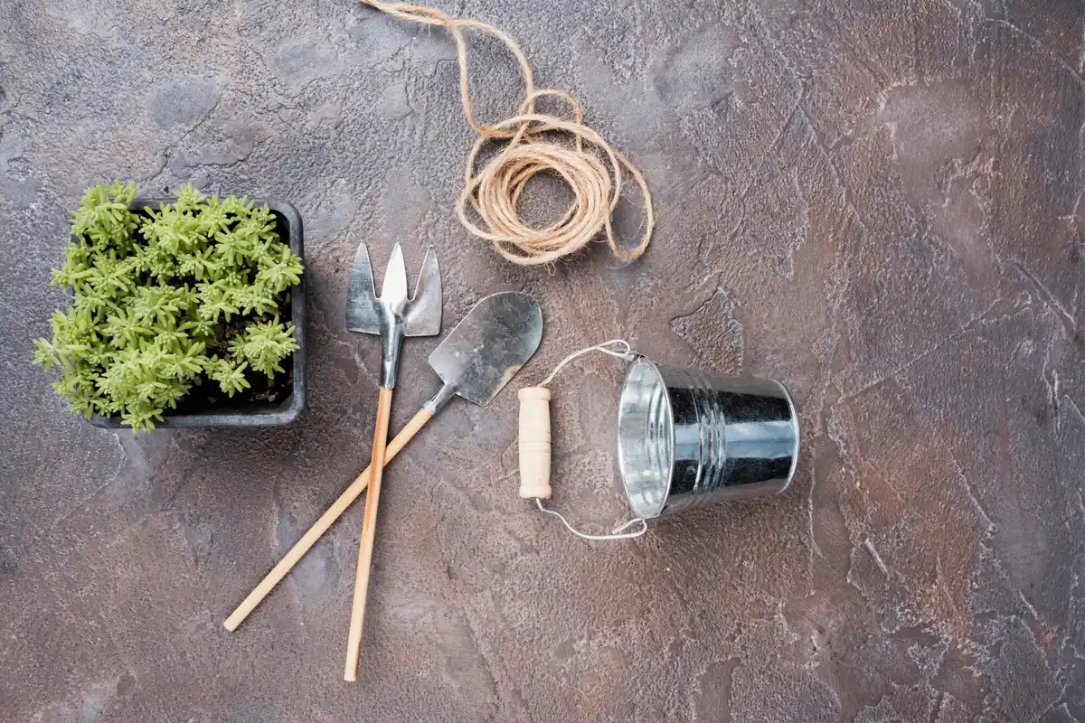 practical gardening with kitchen fork Czech garden
