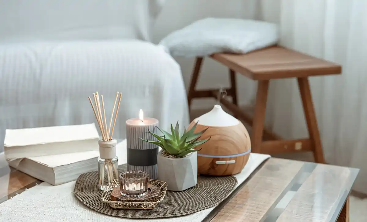 feng shui plants placement cozy European home