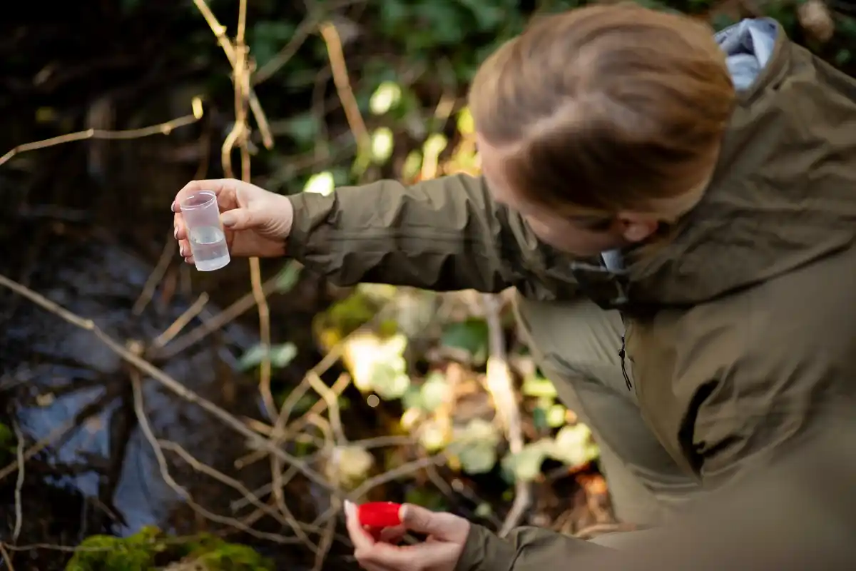 using cinnamon on plant soil as natural pesticide