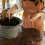 coffee grounds fertilizer home garden Czech nature