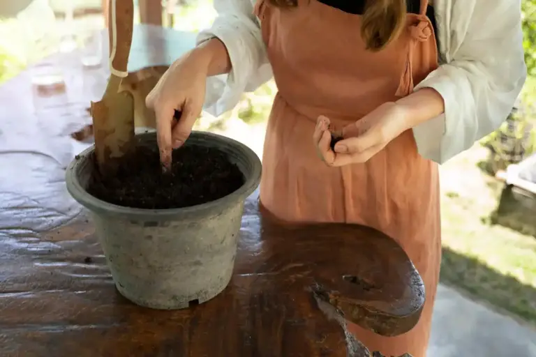 coffee grounds fertilizer home garden Czech nature