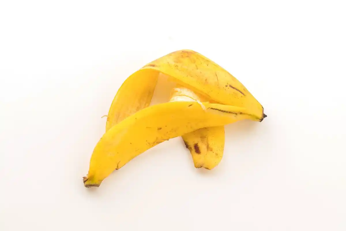 banana peels compost garden czech